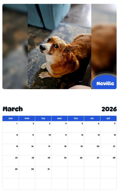November 2025 - October 2026 Neville - Pawidols Pet Calendar
