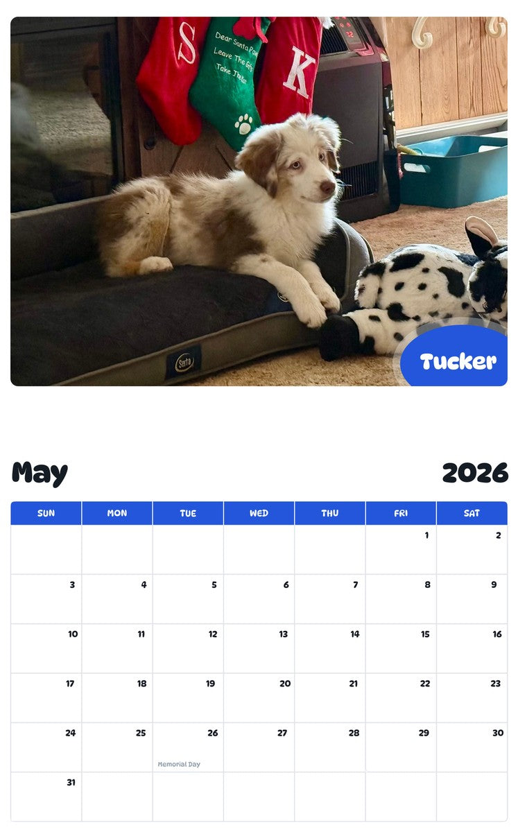 2026 - 2027 Tucker - Pawidols Pet Calendar