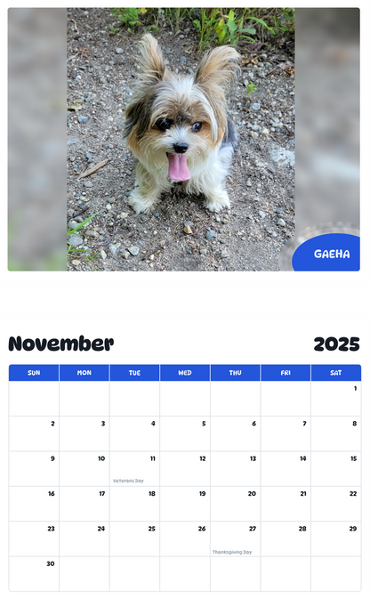 July 2025 - June 2026 Gaeha - Pawidols Pet Calendar