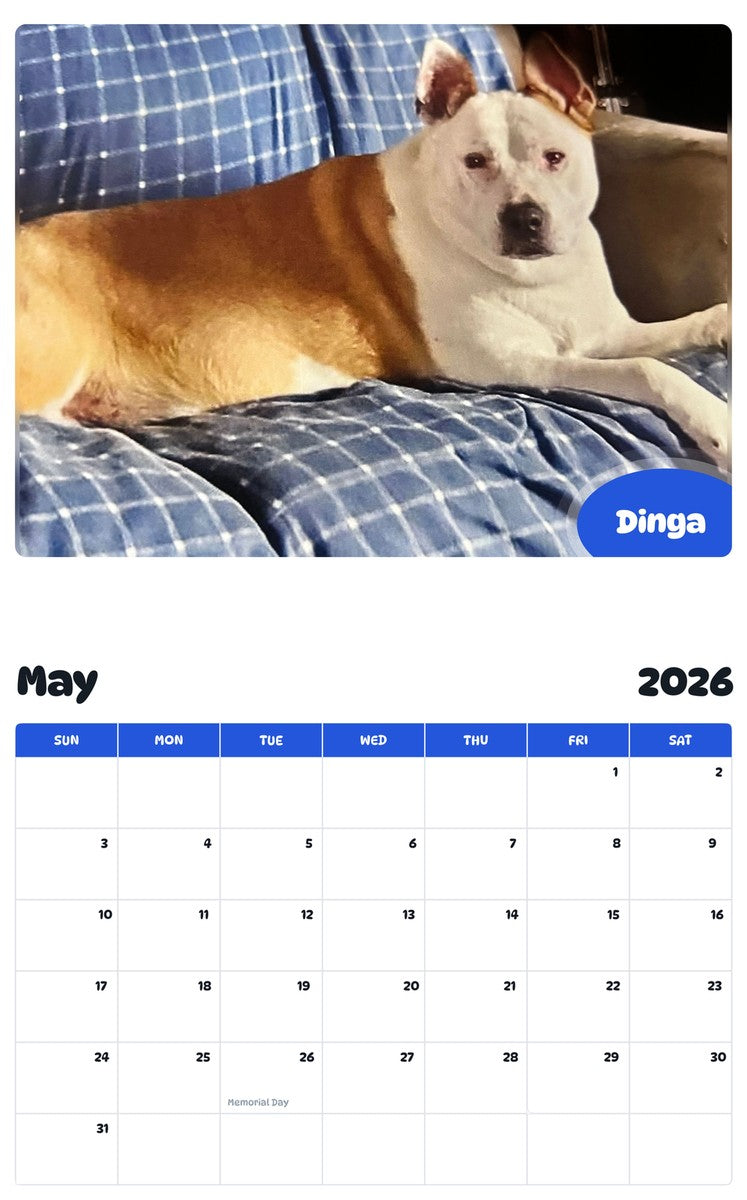 2026 - 2027 Dinga - Pawidols Pet Calendar