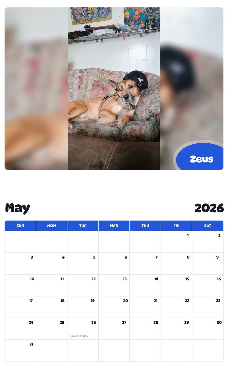 2026 - 2027 Zeus - Pawidols Pet Calendar