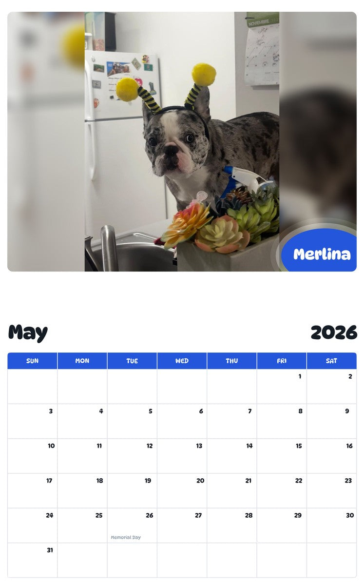 2026 - 2027 Merlina - Pawidols Pet Calendar