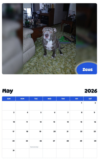 2026 - 2027 Zeus - Pawidols Pet Calendar