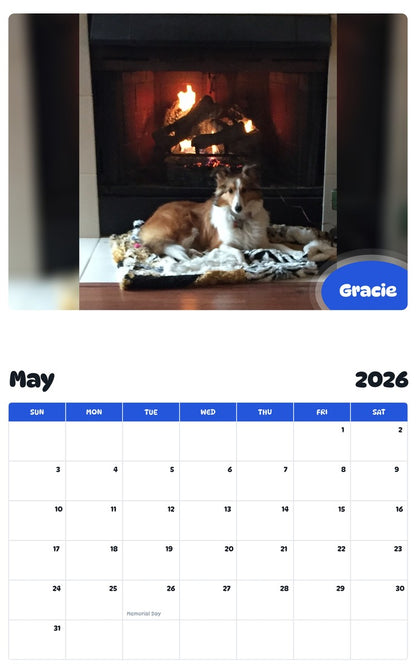 2026 - 2027 Gracie - Pawidols Pet Calendar