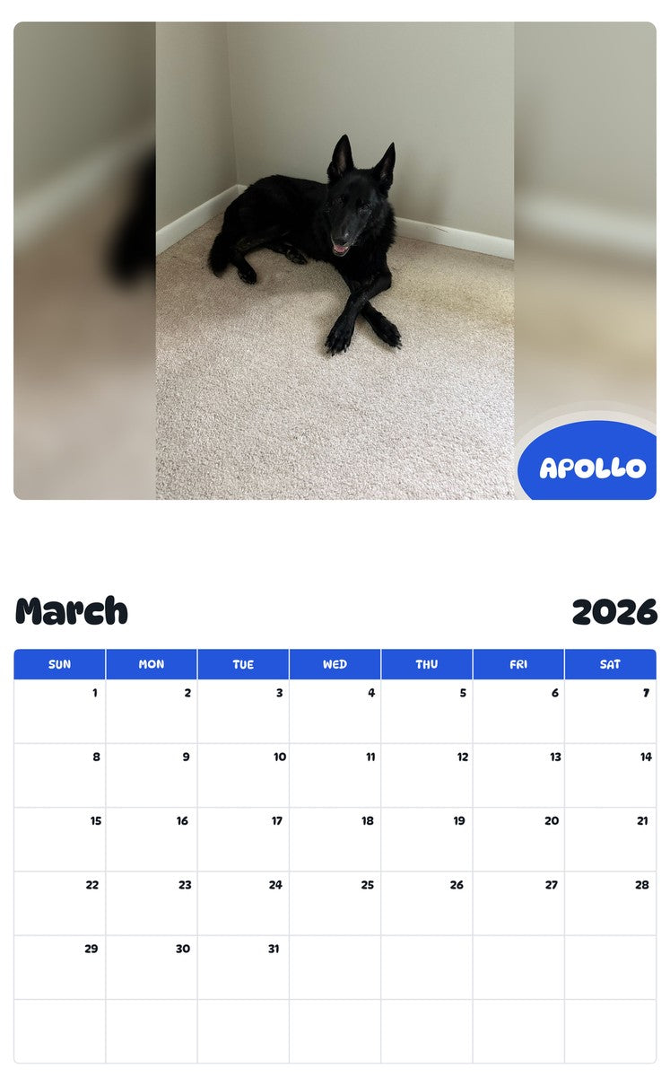 November 2025 - October 2026 APOLLO - Pawidols Pet Calendar