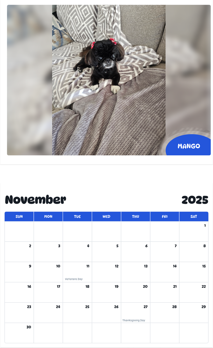 July 2025 - June 2026 Mango - Pawidols Pet Calendar