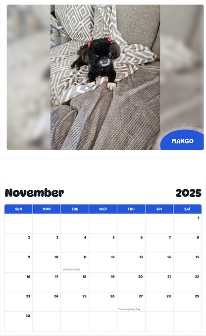 July 2025 - June 2026 Mango - Pawidols Pet Calendar