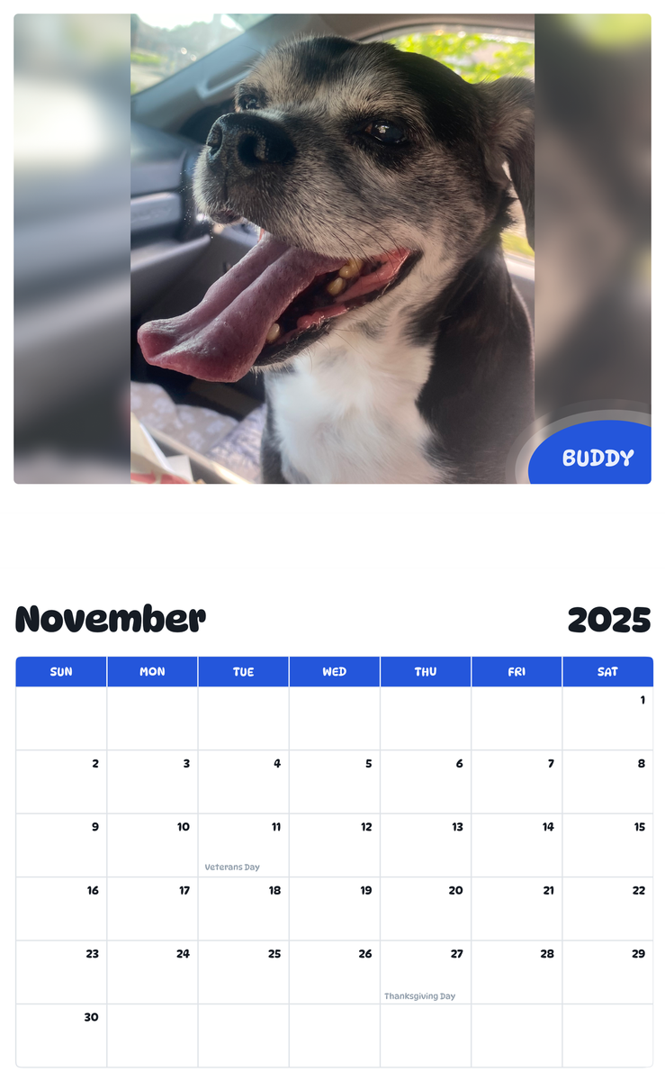 July 2025 - June 2026 Buddy - Pawidols Pet Calendar