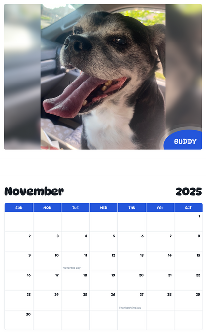 July 2025 - June 2026 Buddy - Pawidols Pet Calendar