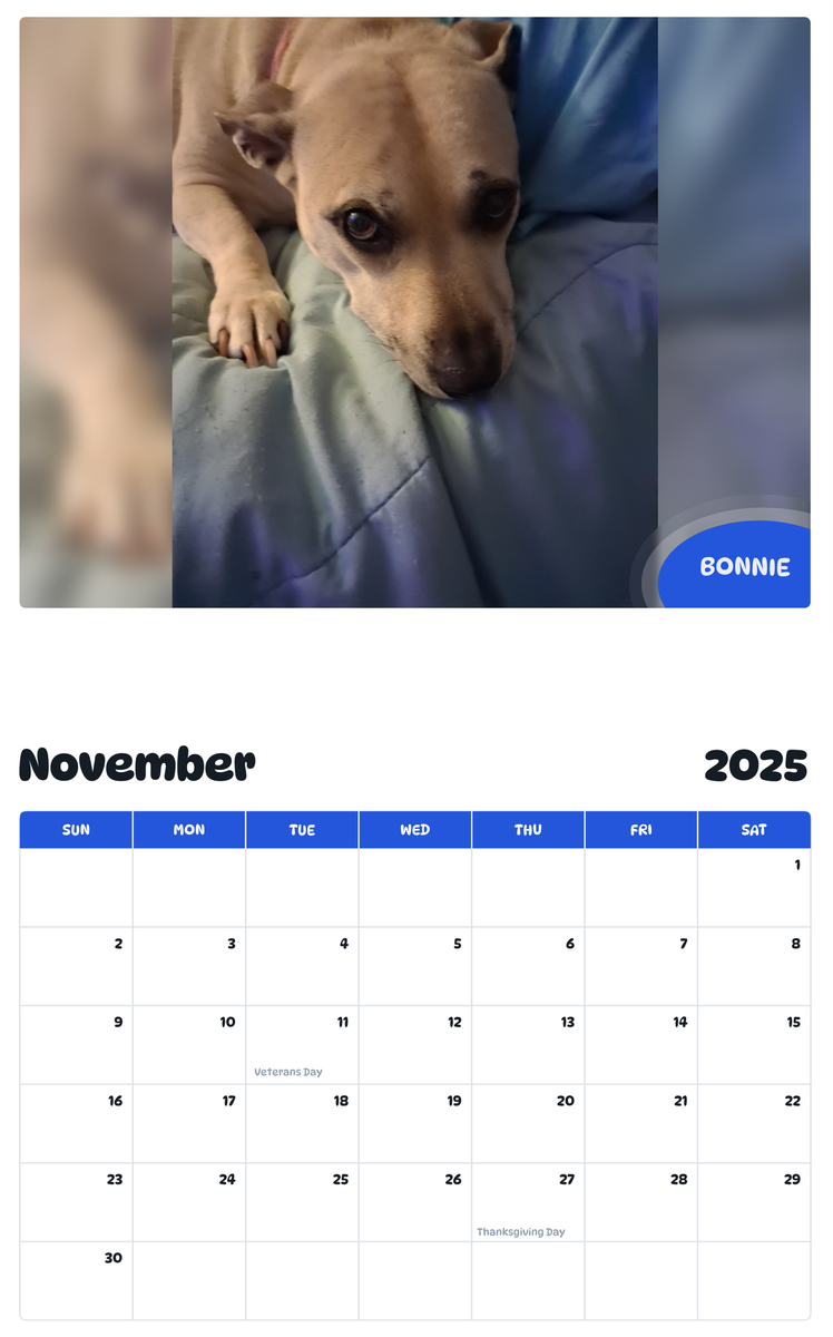 July 2025 - June 2026 Bonnie - Pawidols Pet Calendar