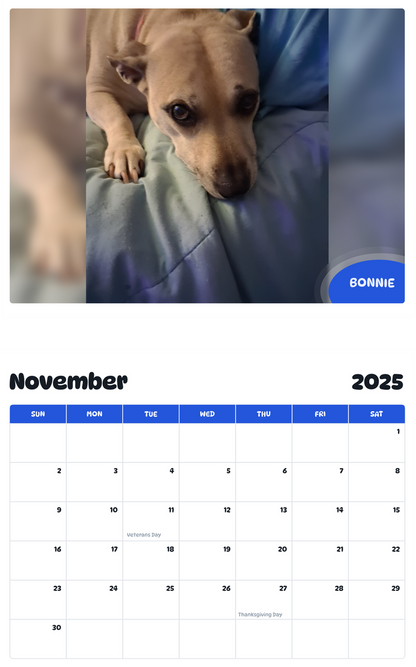 July 2025 - June 2026 Bonnie - Pawidols Pet Calendar