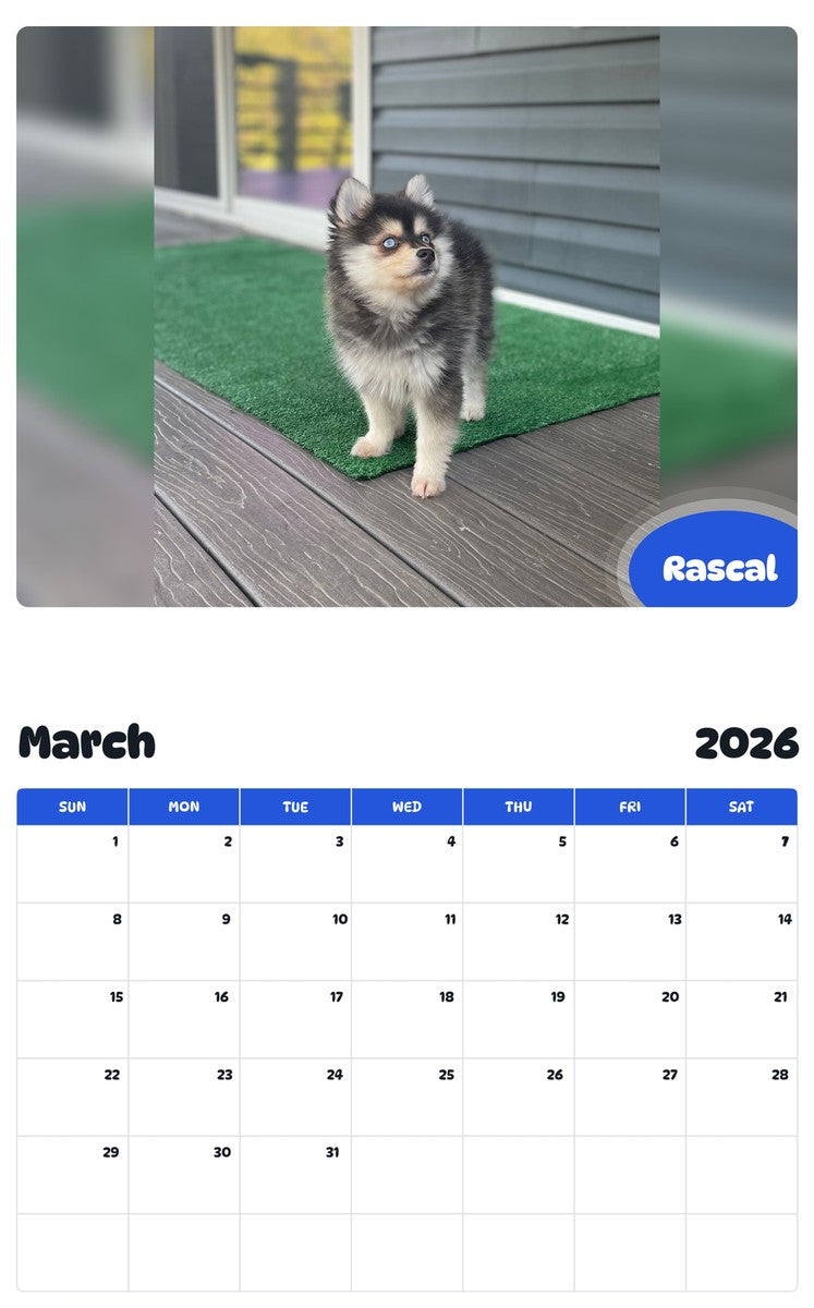 November 2025 - October 2026 Rascal - Pawidols Pet Calendar
