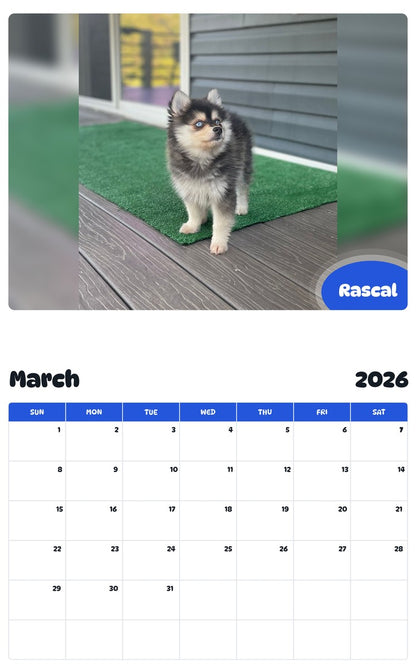 November 2025 - October 2026 Rascal - Pawidols Pet Calendar