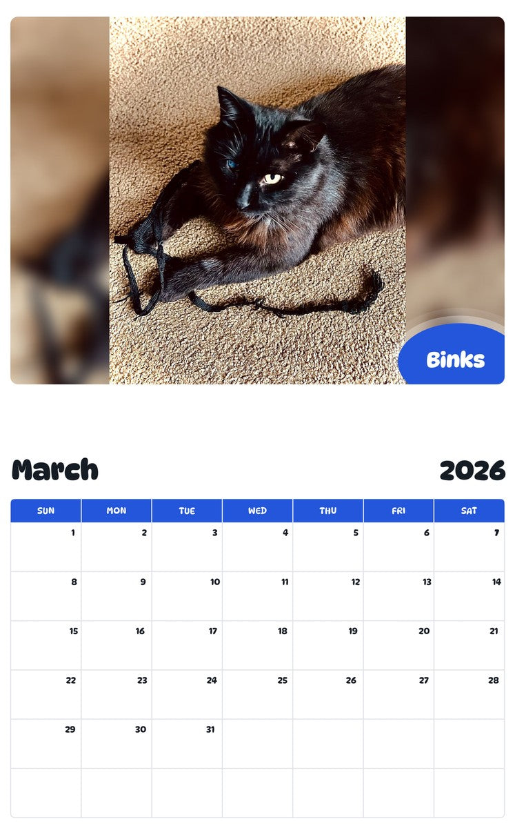 November 2025 - October 2026 Binks - Pawidols Pet Calendar