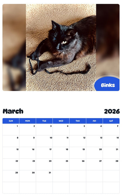 November 2025 - October 2026 Binks - Pawidols Pet Calendar