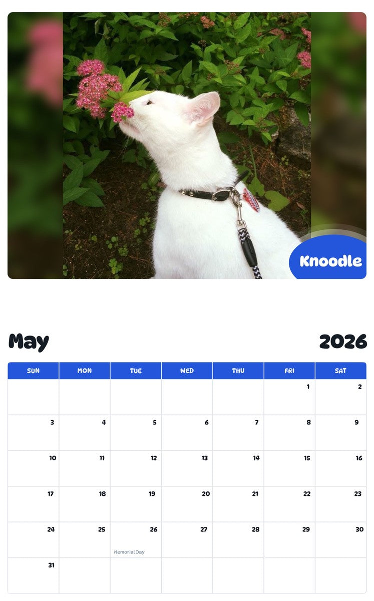 2026 - 2027 Knoodle - Pawidols Pet Calendar