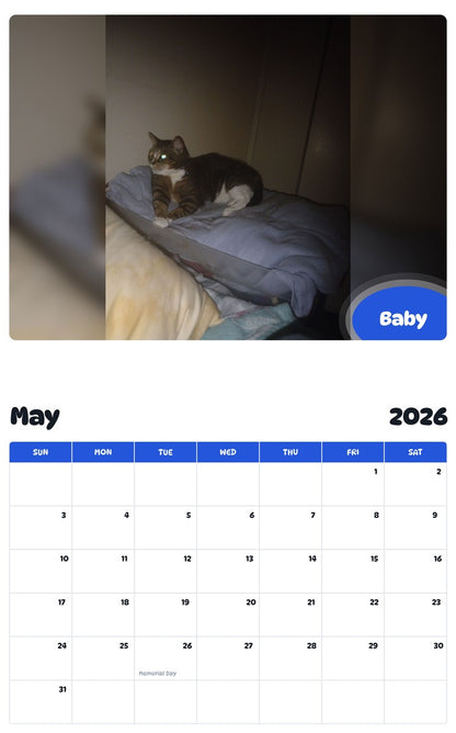 2026 - 2027 Baby - Pawidols Pet Calendar