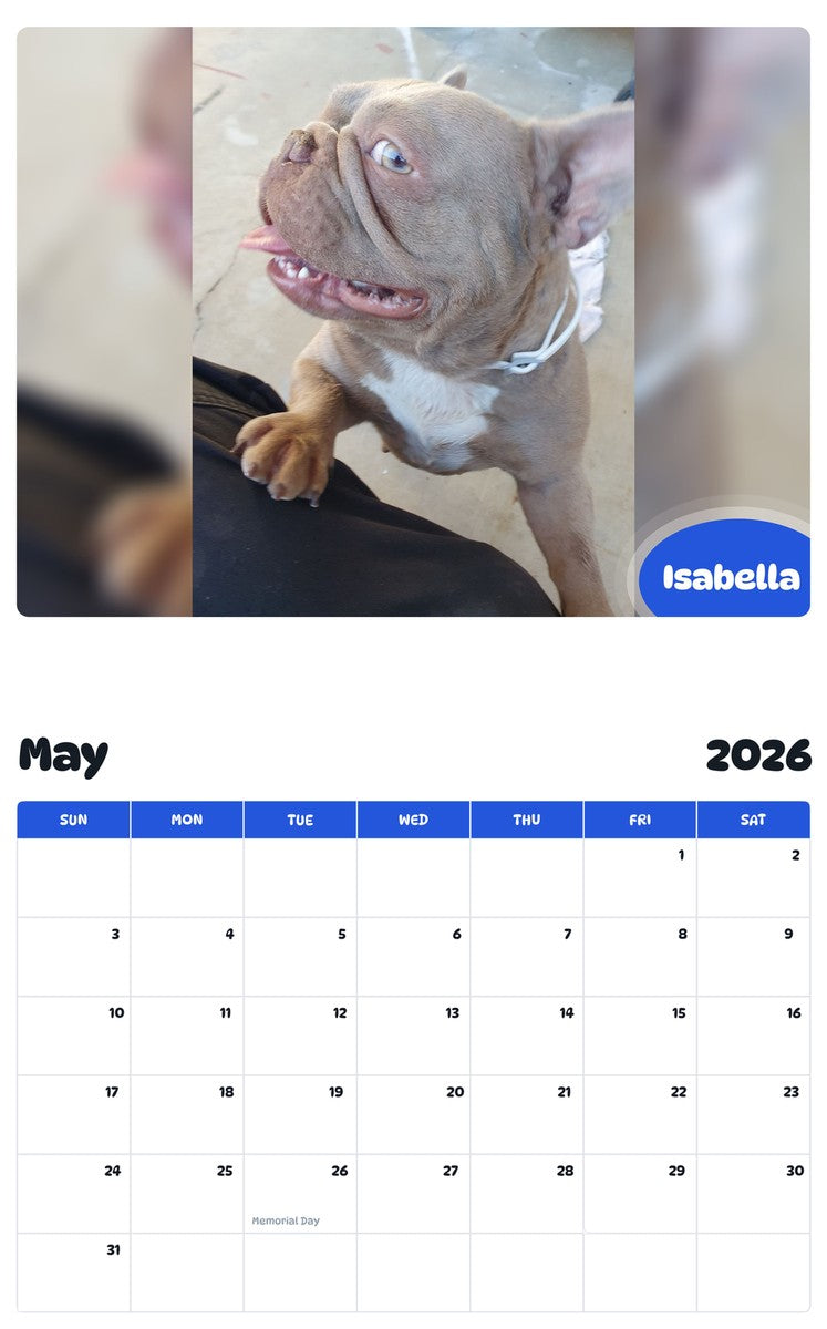 2026 - 2027 Isabella - Pawidols Pet Calendar