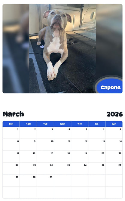 November 2025 - October 2026 Capone - Pawidols Pet Calendar