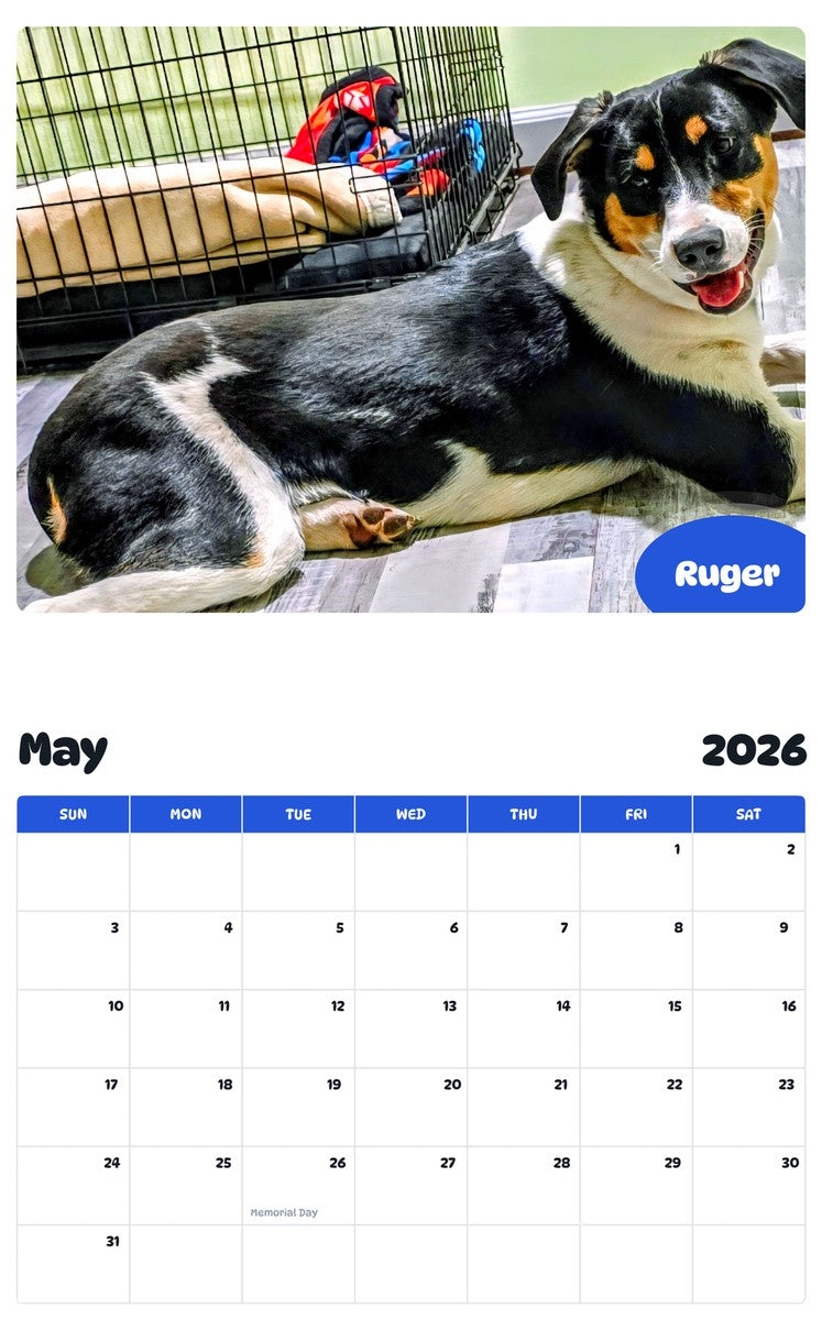 2026 - 2027 Ruger - Pawidols Pet Calendar
