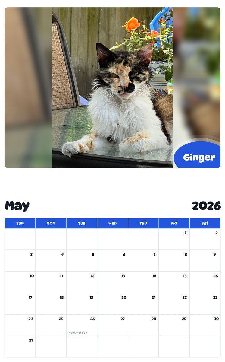 2026 - 2027 Ginger - Pawidols Pet Calendar