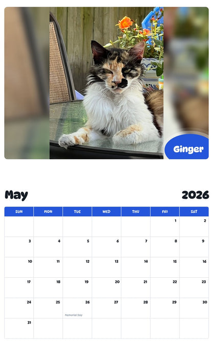 2026 - 2027 Ginger - Pawidols Pet Calendar