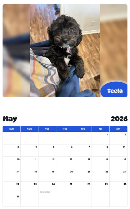 2026 - 2027 Teela - Pawidols Pet Calendar
