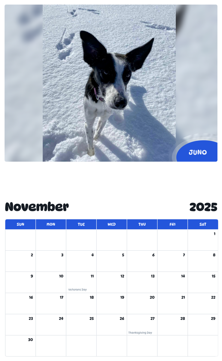 July 2025 - June 2026 Juno - Pawidols Pet Calendar