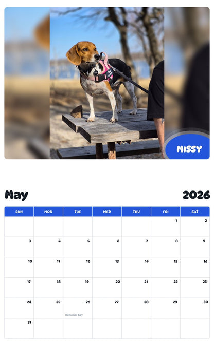 2026 - 2027 MISSY - Pawidols Pet Calendar