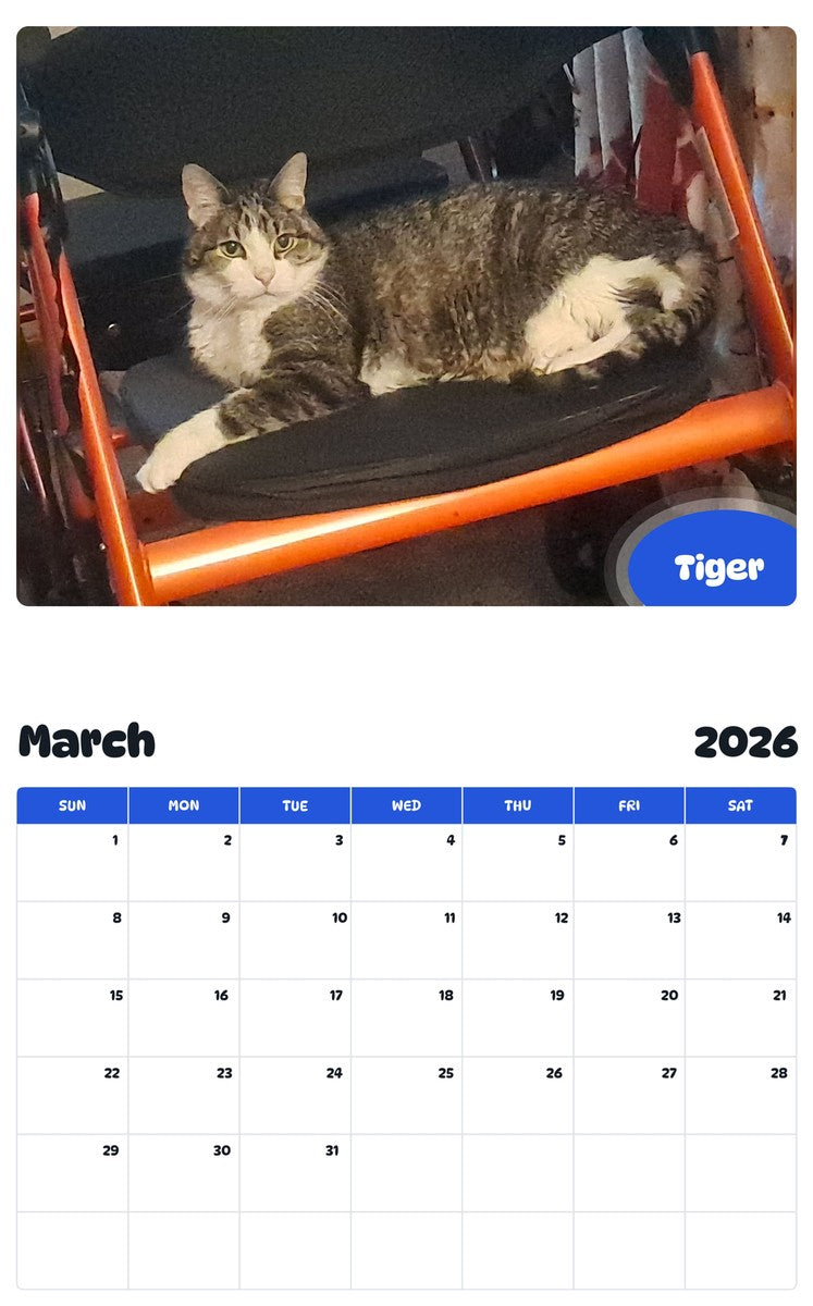 November 2025 - October 2026 Tiger - Pawidols Pet Calendar