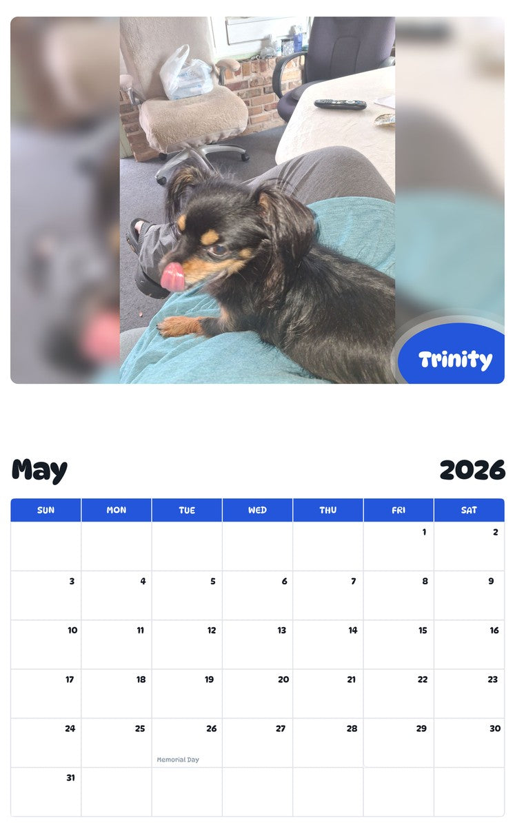 2026 - 2027 Trinity - Pawidols Pet Calendar