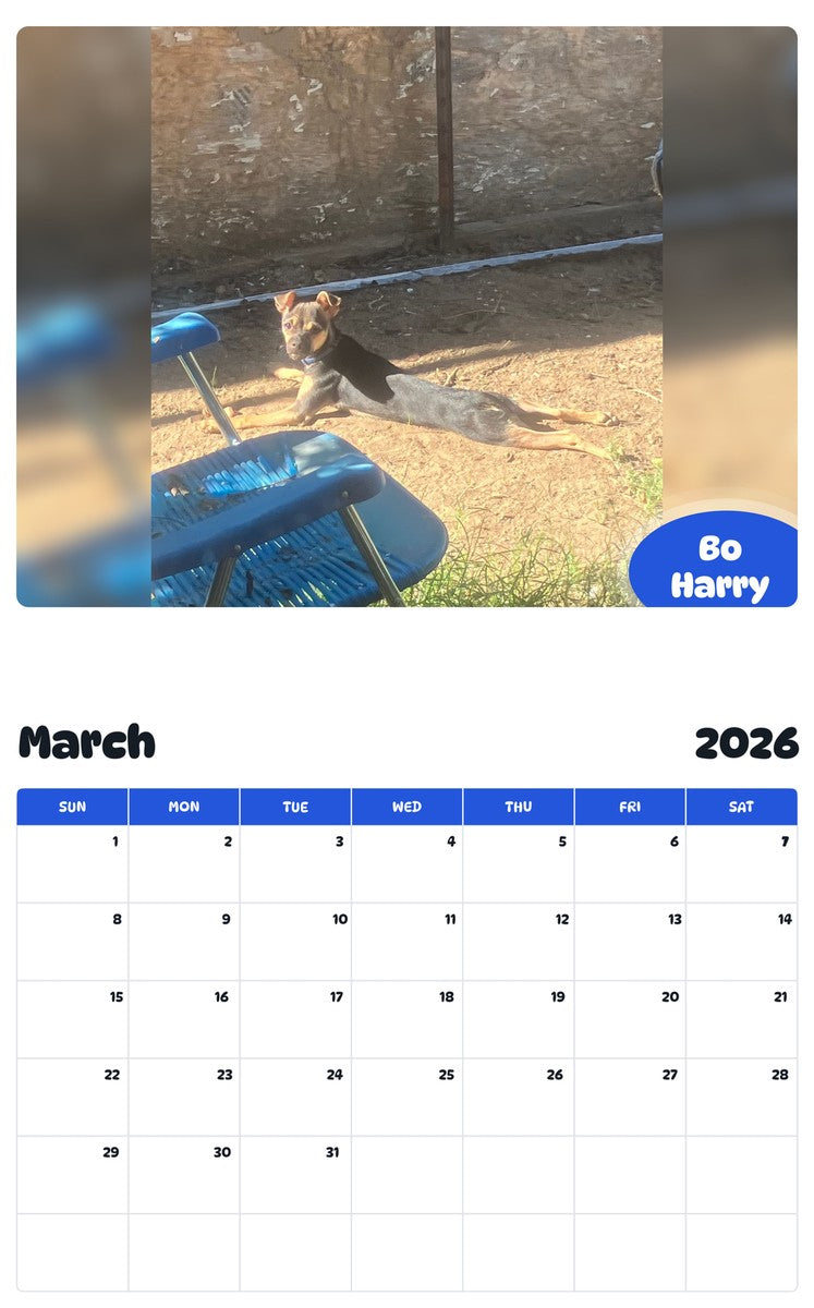 November 2025 - October 2026 Bo Harry - Pawidols Pet Calendar