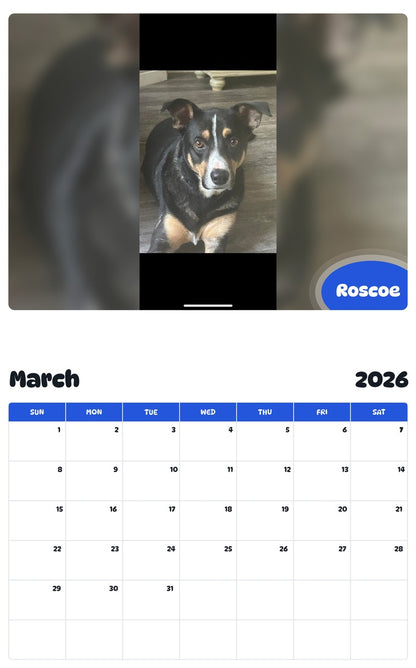 November 2025 - October 2026 Roscoe - Pawidols Pet Calendar