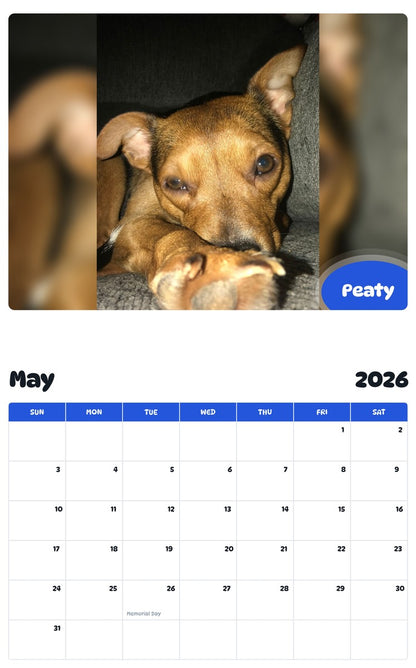 2026 - 2027 Peaty - Pawidols Pet Calendar