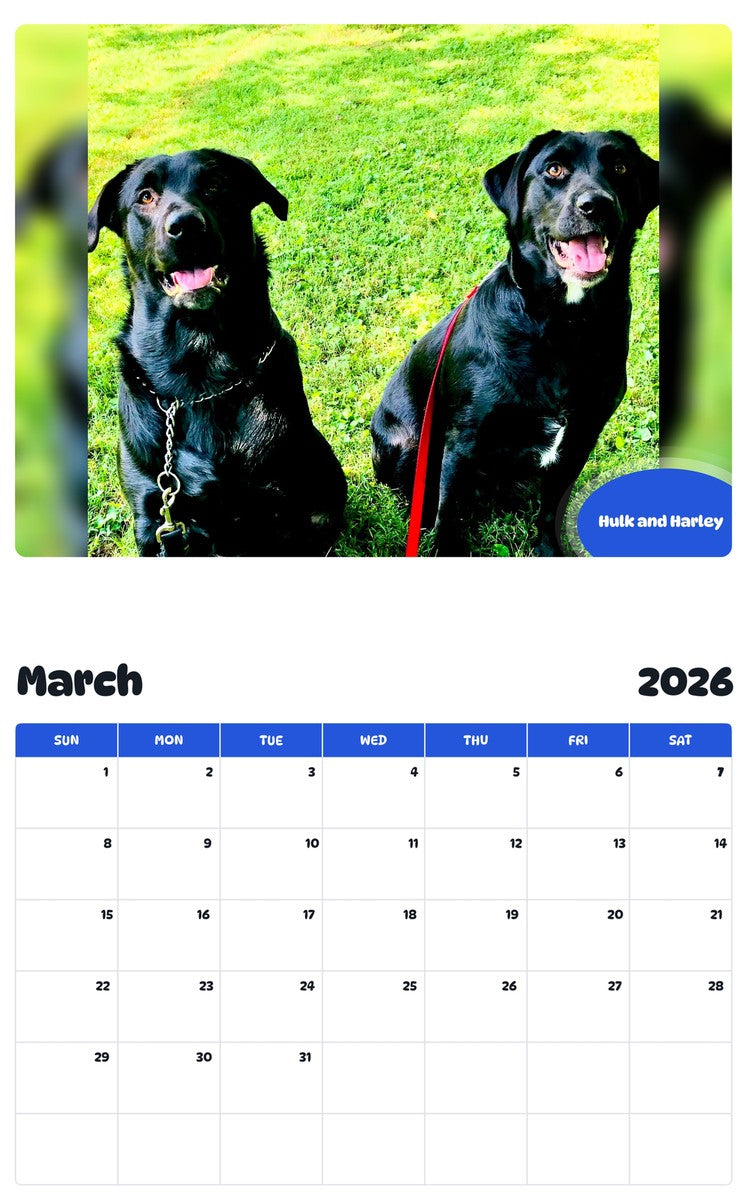 November 2025 - October 2026 Hulk and Harley - Pawidols Pet Calendar
