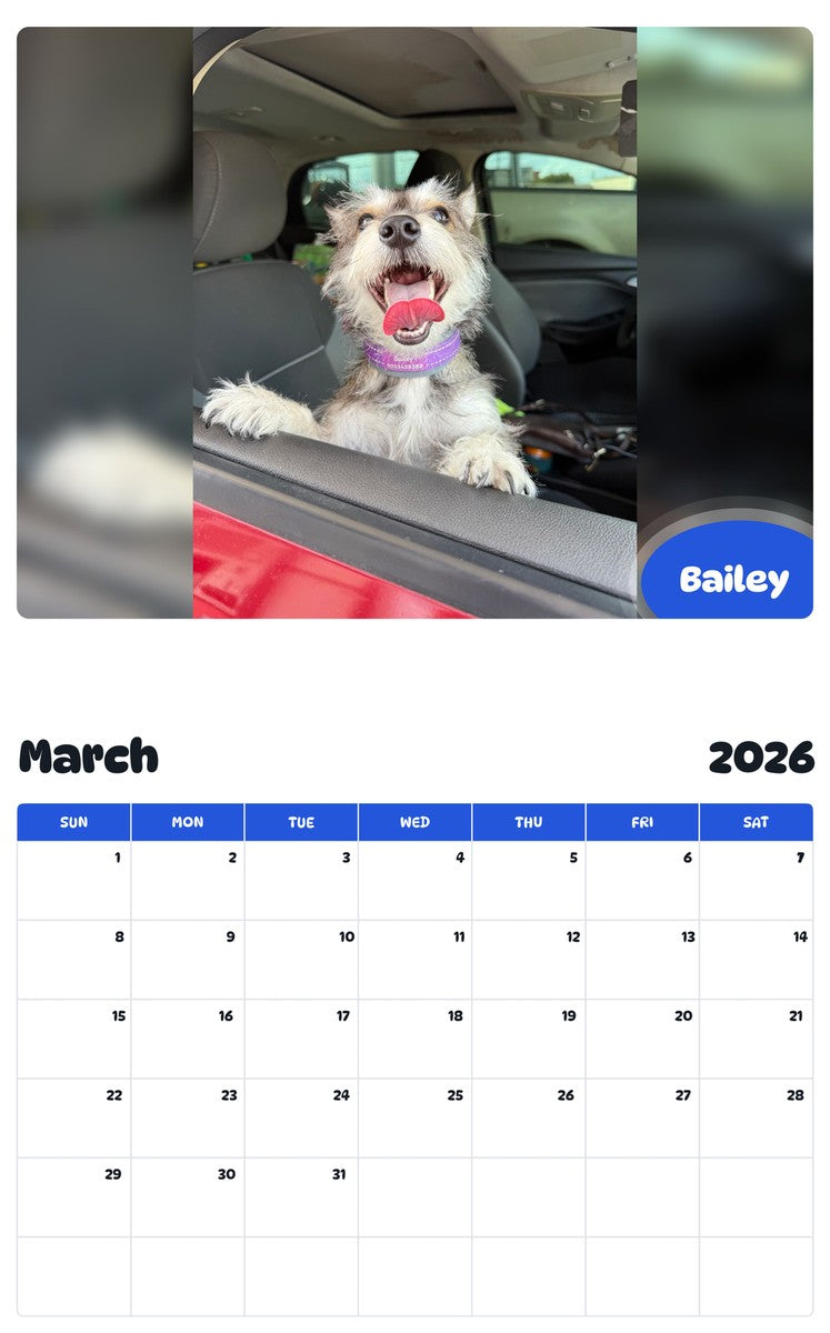 November 2025 - October 2026 Bailey - Pawidols Pet Calendar