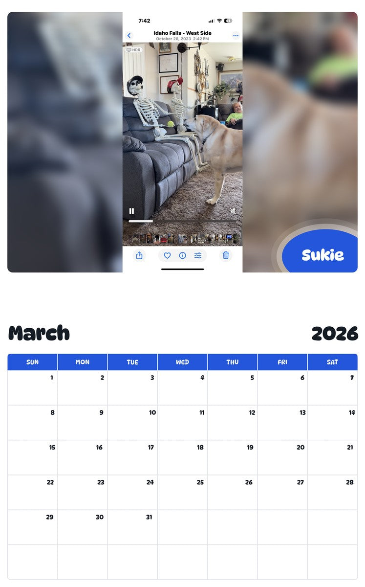 November 2025 - October 2026 Sukie - Pawidols Pet Calendar