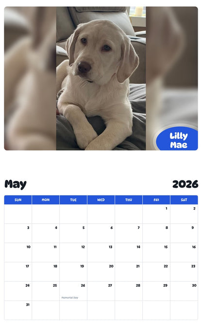 2026 - 2027 Lilly Mae - Pawidols Pet Calendar