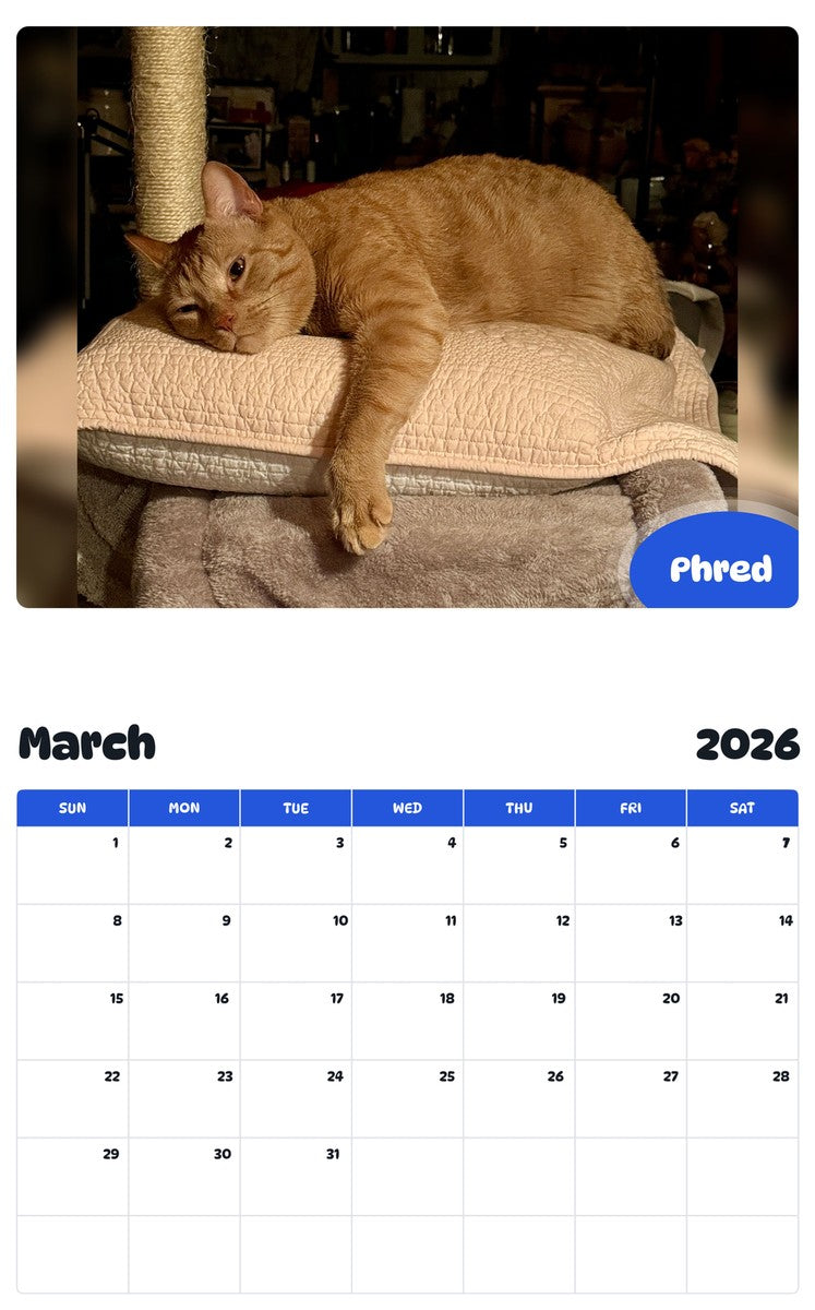 November 2025 - October 2026 Phred - Pawidols Pet Calendar
