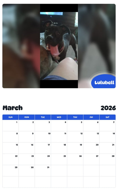 November 2025 - October 2026 Lulubell - Pawidols Pet Calendar
