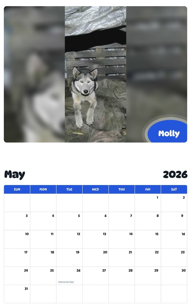 2026 - 2027 Molly - Pawidols Pet Calendar