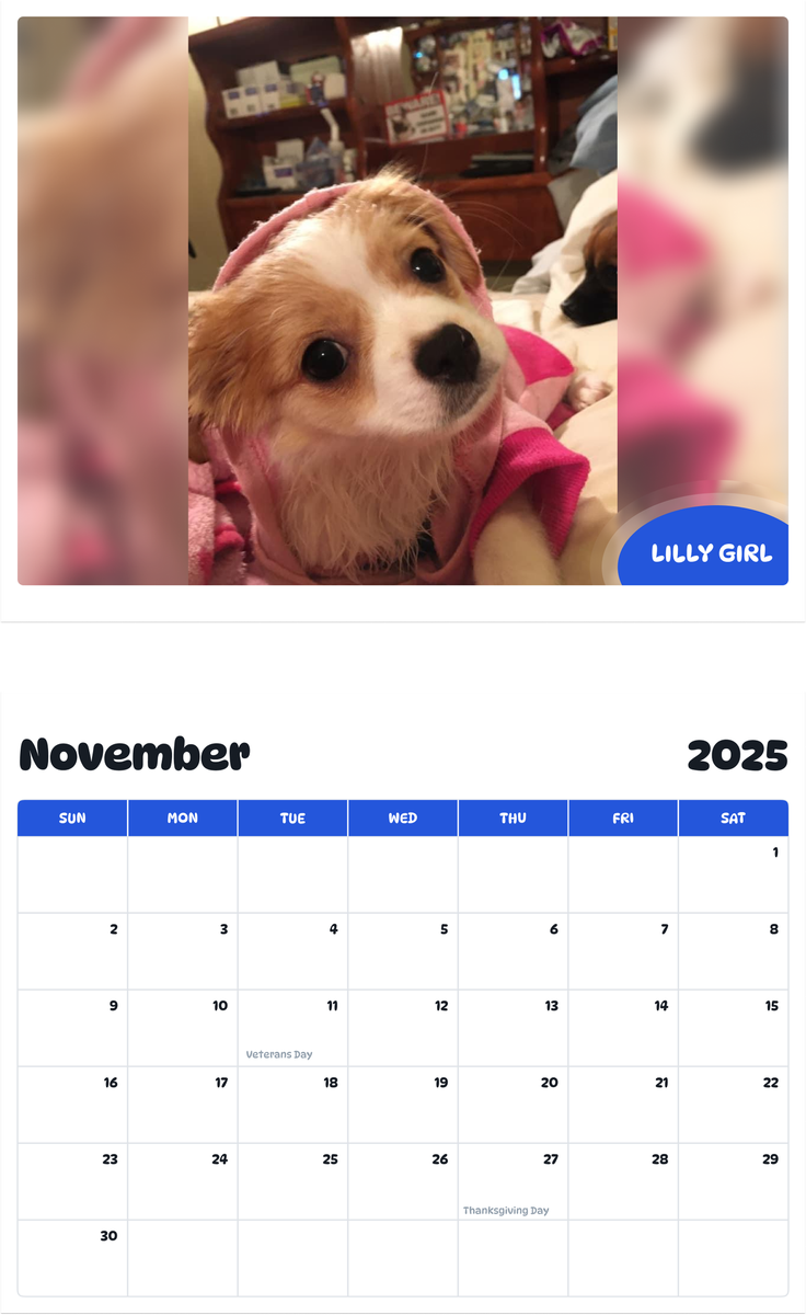 July 2025 - June 2026 Lilly Girl - Pawidols Pet Calendar