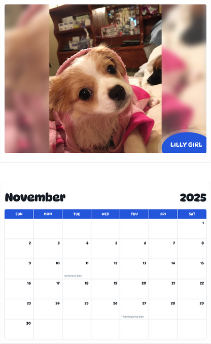 July 2025 - June 2026 Lilly Girl - Pawidols Pet Calendar