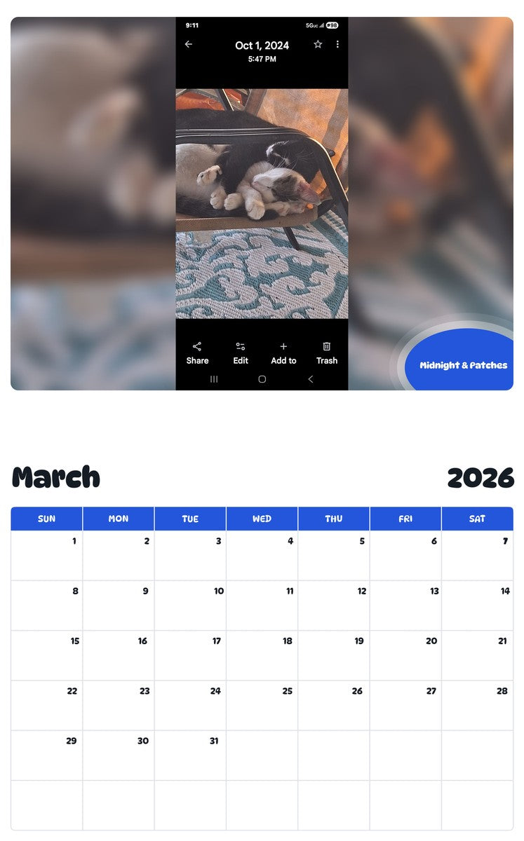 November 2025 - October 2026 Midnight & Patches - Pawidols Pet Calendar