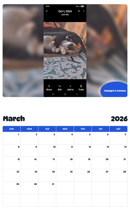 November 2025 - October 2026 Midnight & Patches - Pawidols Pet Calendar