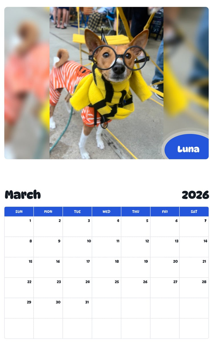 November 2025 - October 2026 Luna - Pawidols Pet Calendar
