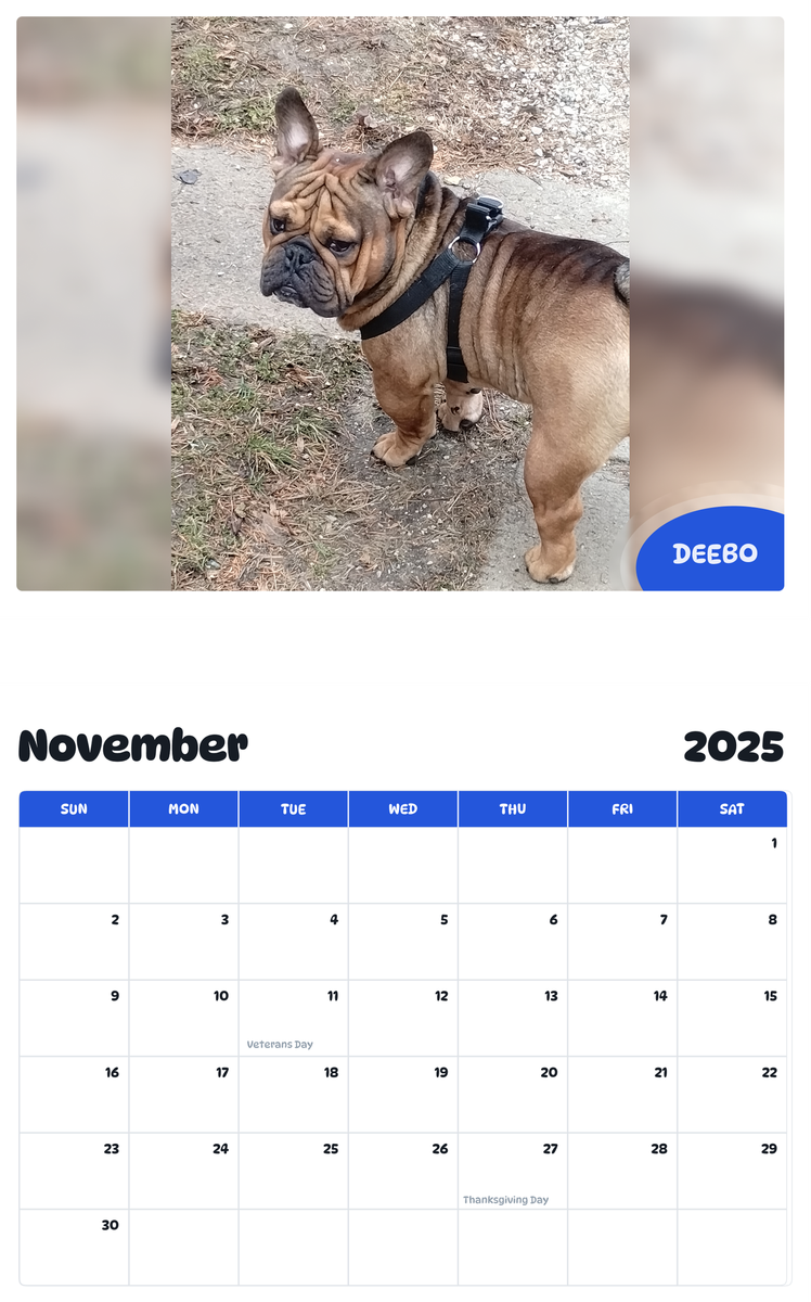 July 2025 - June 2026 Deebo - Pawidols Pet Calendar