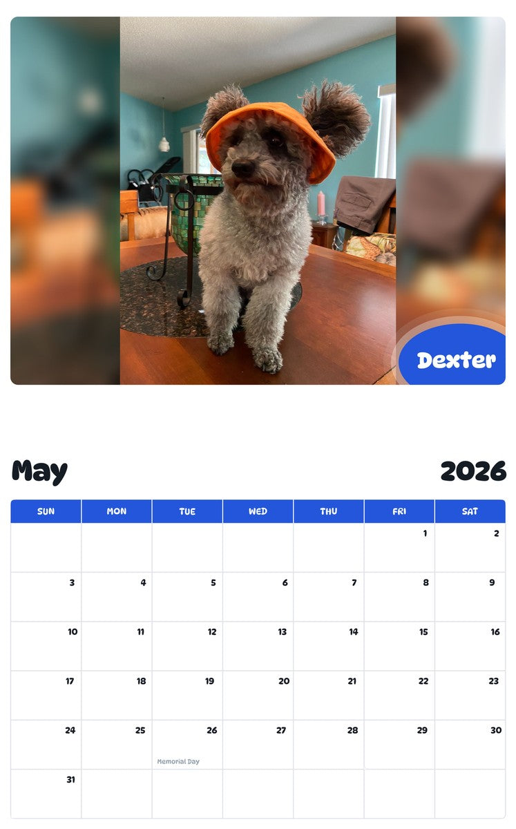 2026 - 2027 Dexter - Pawidols Pet Calendar