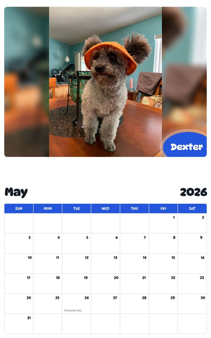 2026 - 2027 Dexter - Pawidols Pet Calendar
