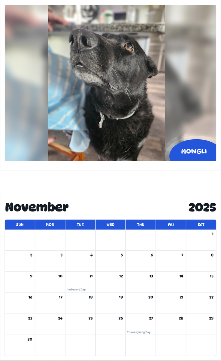 July 2025 - June 2026 Mowgli - Pawidols Pet Calendar